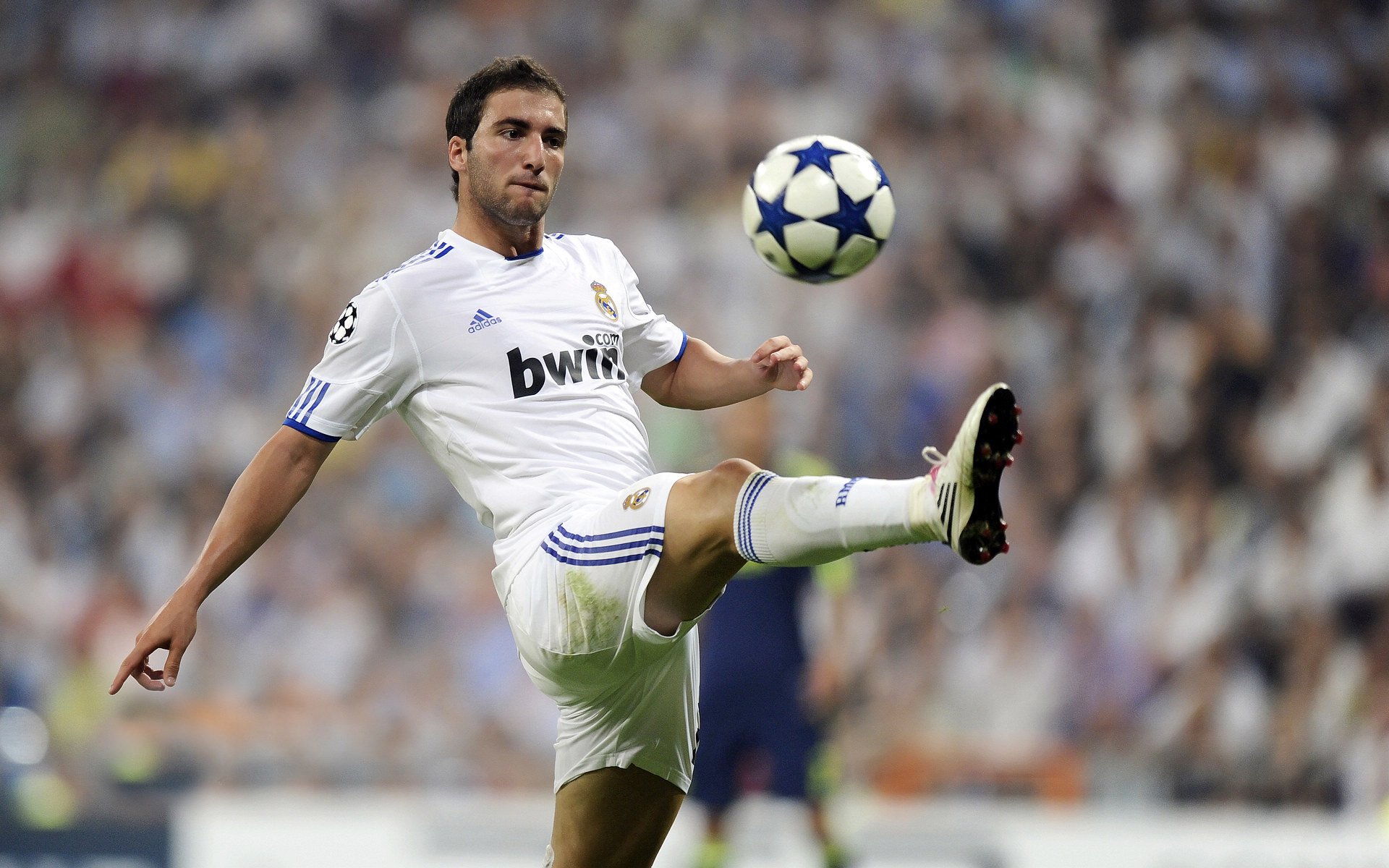 中国足球青训大数据平台正式上线,提高人才培养效率,2021年中国足球青训现状