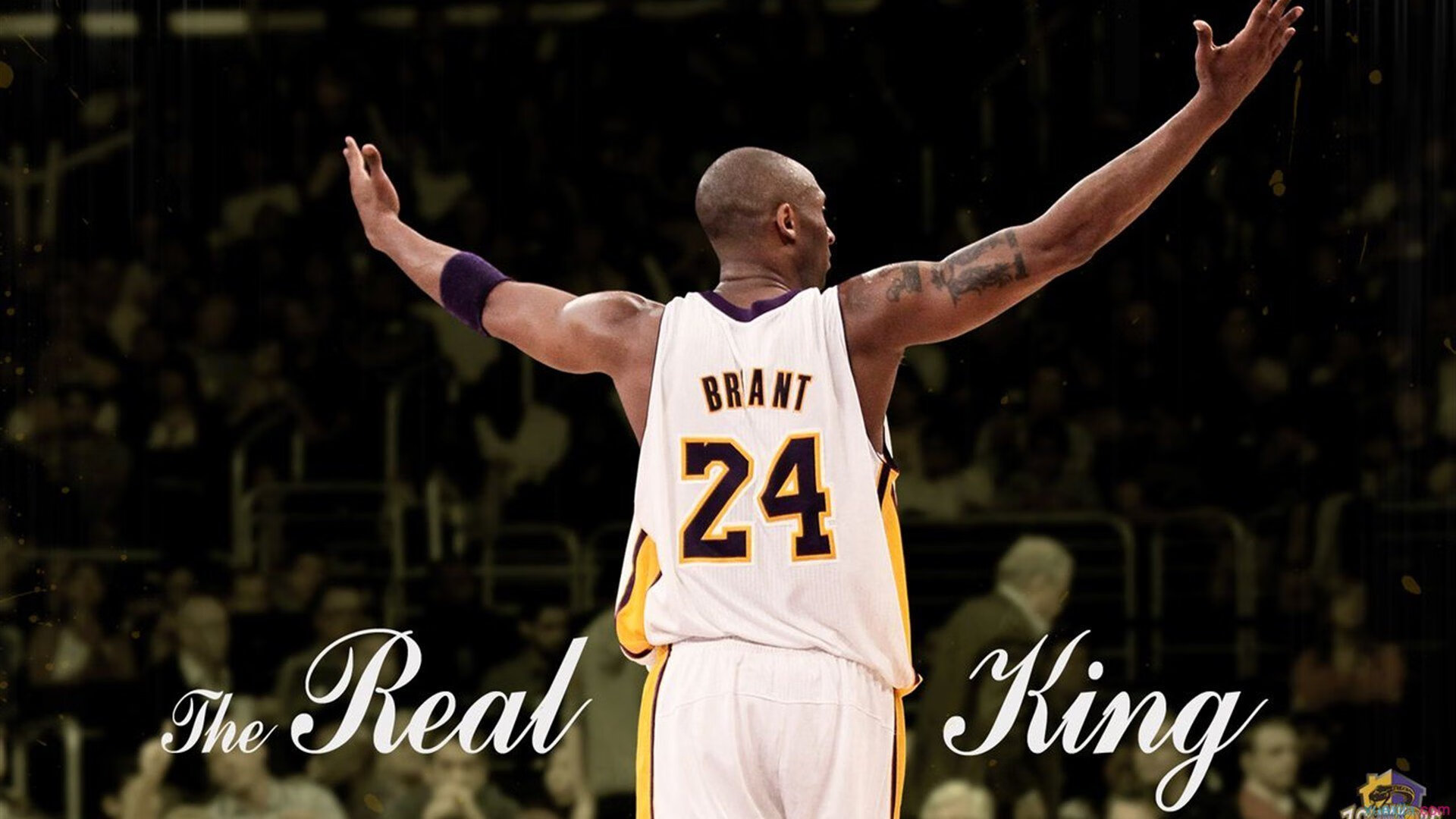 九游电脑版-史上“突破”得分纪录，谁的表现让人惊叹？，突破的成绩